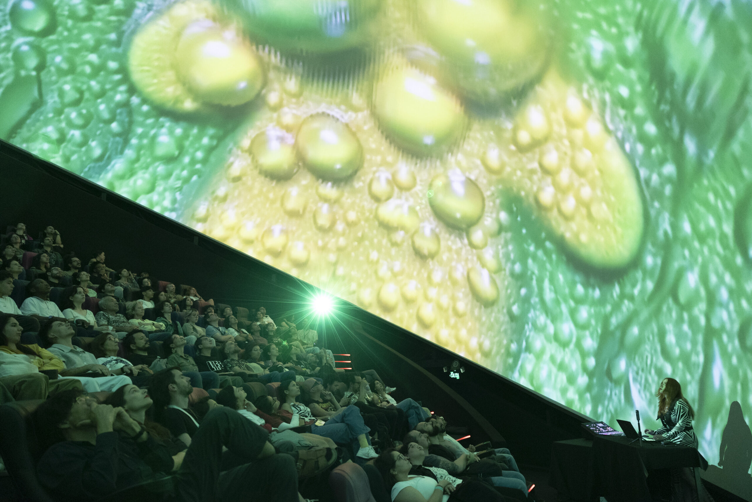 CNDSD (Malitzin Cortés)